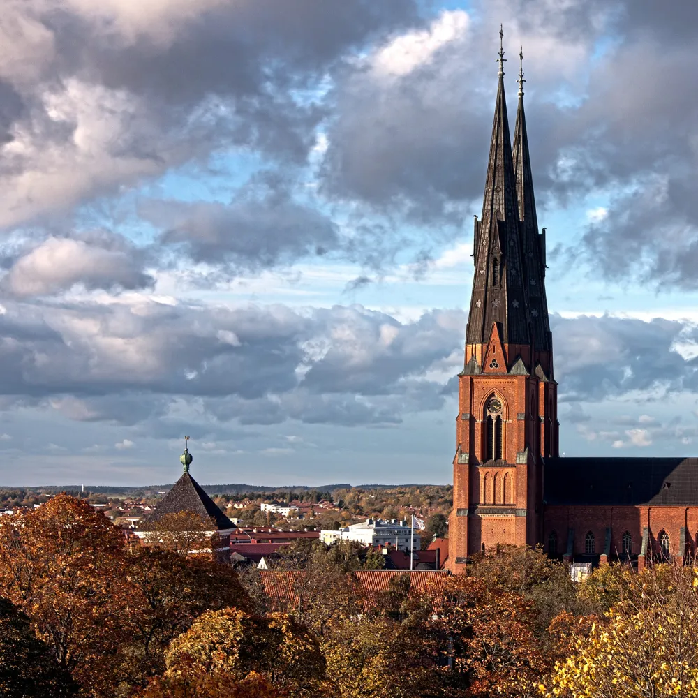 Uppsala webbyrå