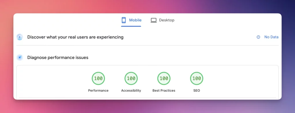 Resultat från Google PageSpeed Insights som visar 100 poäng i prestanda för en WordPress-sajt